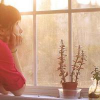 边城读后感一二百字细选