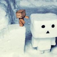 去吴淞炮台湿地公园观后感选录