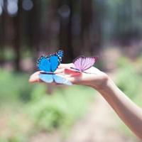 美丽的中国观后感一百字集锦