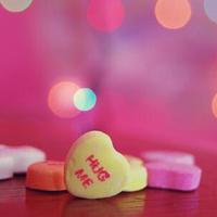 植树节读后感200字左右聚集