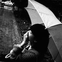 李国文淡之美观后感选录