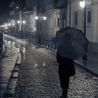 青岛博物馆观后感汇聚