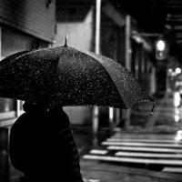 论持久战观后感200细选