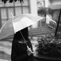 读大肚狼的读后感精选