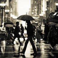 走近科学奇妙的分离观后感精练