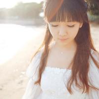 板凳狗读后感250字摘录