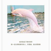 菊坡读后感50字左右集合