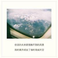 狸猫换太子观后感聚集