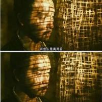 二年级下册读后感大全摘录