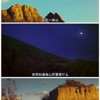 王世虎荷花荷花读后感细选