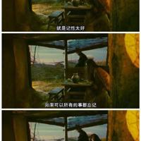 曹文轩小说馆橡树湾读后感聚集