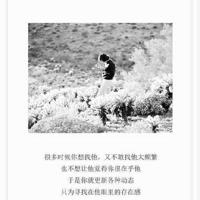 疯狂读后感100字整理