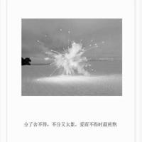 我是因为爱这个世界读后感集锦