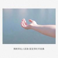 小雏菊的读后感30字摘录