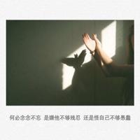 品茶好比品人读后感总汇