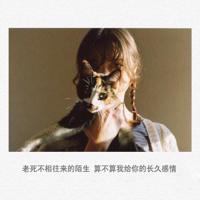 修养与精神长相读后感精选