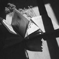 疯狂阅读后感50字汇集