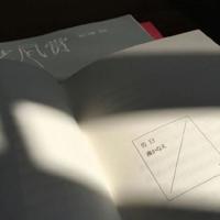 恋爱先生观后感文章整理