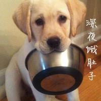 狒泽而渔读后感400字合集