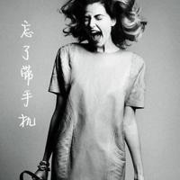 飞机总动员一英文观后感汇聚