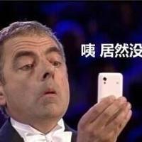 大肚子蝈蝈读后感选录