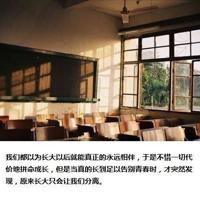 观看传统节日观后感合集