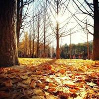 父亲的爱的读后感600字摘录