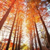 天空之城郭静版读后观后感整理