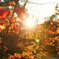 太空之旅的观后感精练