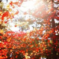 医药代表培训读后感简短汇集