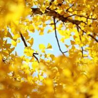 仰望星空读后感高中汇总