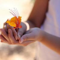 电影你是我兄弟观后感合计