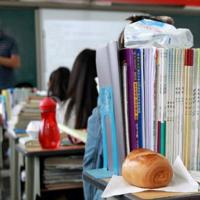 观看荷花池观后感400字汇聚