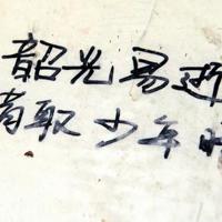 原乡人观后感400字合集