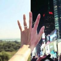 绘本爸爸的臭袜子读后感摘录