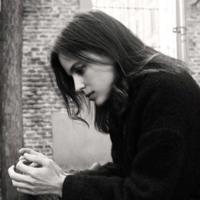 棘龙生存记读后感800精练