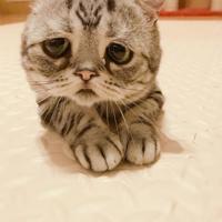 关于航天站的观后感汇合