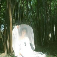 饥饿游戏原作读后感汇聚