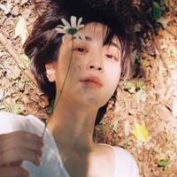 养心读后感500字左右汇合