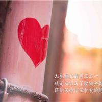 小狮子爱尔莎读后感整理