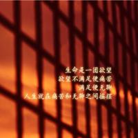 厉害了我的囯读后感汇集