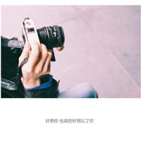 疯狂读后感100字整理