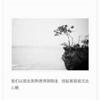 十宗罪句子读后感集合