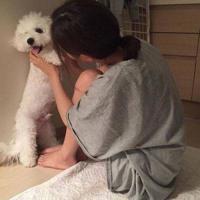 义犬复仇读后感600字汇聚