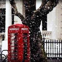 森林王子读后感五百字聚集