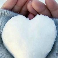 沙漠之舟骆驼的读后感合计