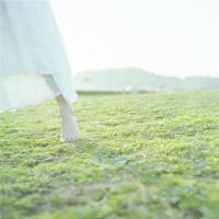 电影秦始皇兵马俑的观后感集合