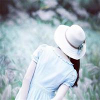 十里长街送袁老读后感聚集