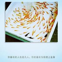 家书微电影观后感摘录