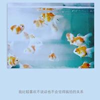 再说长江1.2集观后感总汇